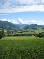 Obraz premium Waldneukirchen - Steyrtal - Austria