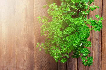 Abstract spring or summer concept. Organic herbs (melissa, mint, thyme, basil, parsley) on wooden background with sunlight and sunny leaks. Banner. Copyspace.