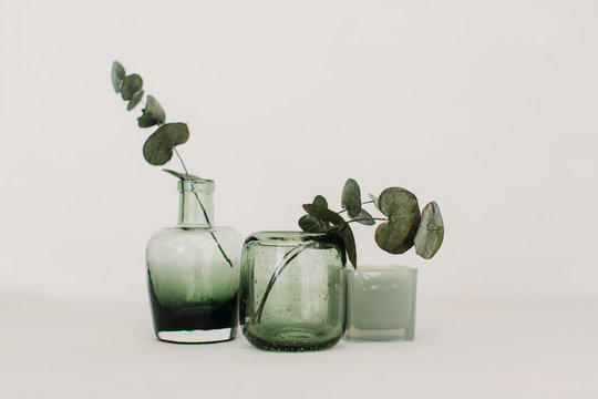 Glass vases with eucalyptus 