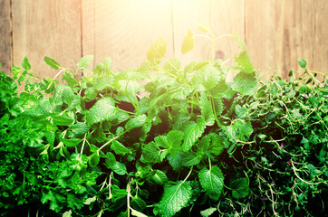 Abstract spring or summer concept. Organic herbs (melissa, mint, thyme, basil, parsley) on wooden background with sunlight and sunny leaks. Banner. Copyspace.