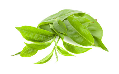 green tea leaf isolated on white background