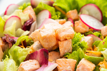Insalata di verdure fresche e salmone