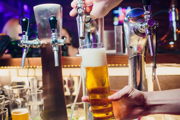 Young woman dispensing beer in bar from metal spigots. Beautiful female bartender tapping beer in bar.