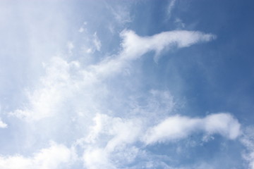Sky_Benedito_Novo_03