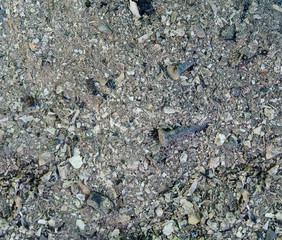 Other dirty small stones