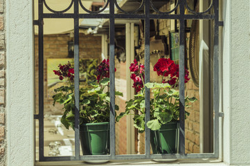 Fototapeta na wymiar Two Flower Pots on Window Sill Outdoor