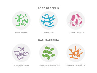 Good and bad bacterial flora icon set isolated on white background. Gut dysbiosis concept medical illustration with microorganisms.