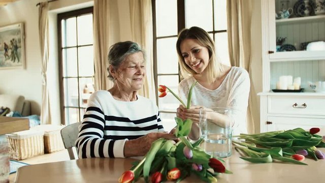 Elderly grandmother with an adult granddaughter at home.