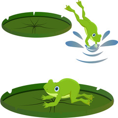 set of frog on lily leaf resting different vector 
