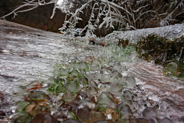 View of rocks and branches covered with ice on a cold winter day.
