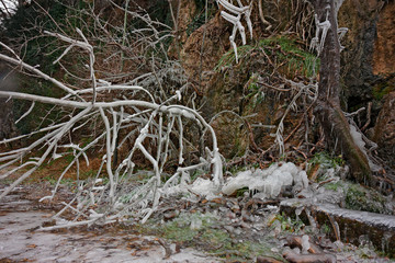 View of rocks and branches covered with ice on a cold winter day.