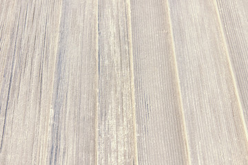Vertical old gray planks. Natural texture