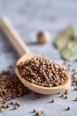 Coriander in wooden spoon with clipping path on white textured background, close-up, shallow depth of field.