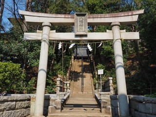 torii shinto shrine ate and stairs