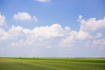 partially cloudy sunny blue sky above green agricultural field