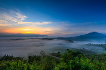 Ta-Kian-Ngo, Landscape sea of mist on the mountain in Phetchabun province  Thailand.
