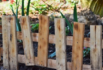 A small wooden fence encloses a flower bed in the Park.