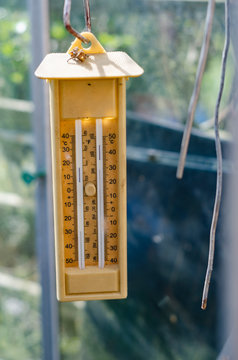 Six thermometer 2024