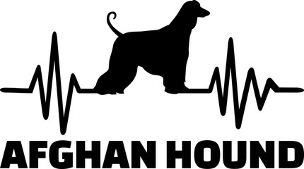 Afghan Hound heartbeat word