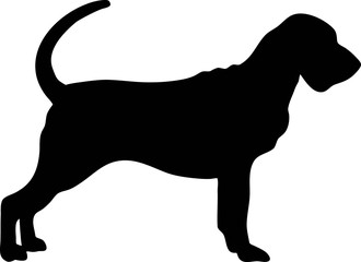 Bloodhound silhouette black - obrazy, fototapety, plakaty