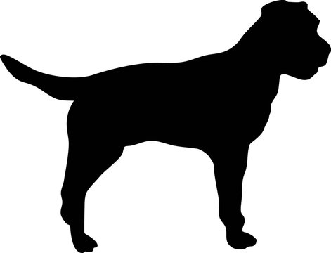 Border Terrier silhouette black