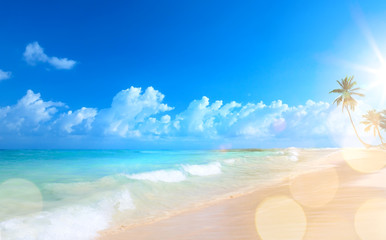 Art Beautiful sunset over the tropical beach