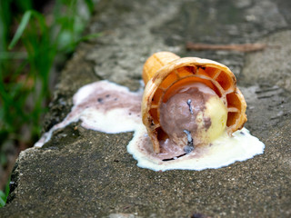 A rainbow ice cream cone dropped on the concrete floor and melting on ground in a summer day. with copy space for text.