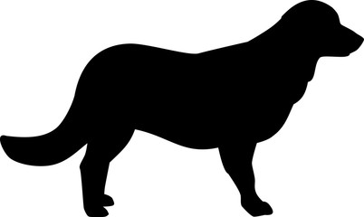 Flat Coated Retriever silhouette black