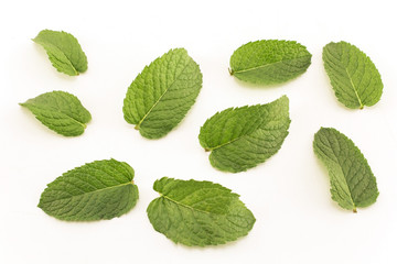 Fresh Mint Isolated on White
