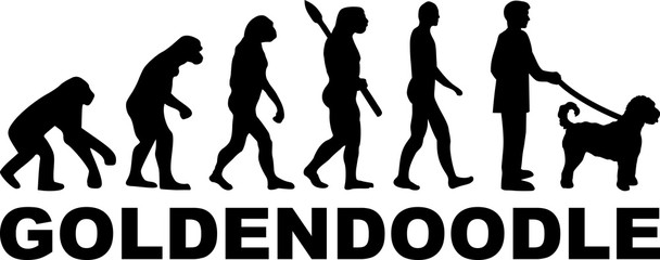 Goldendoodle evolution word