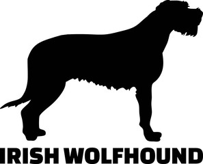 Irish Wolfhound silhouette real word