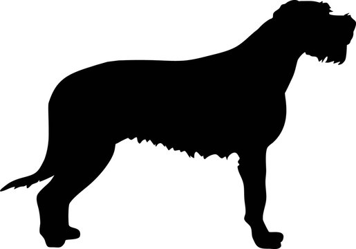 Irish Wolfhound silhouette black