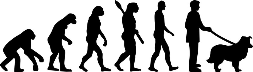 Shetland Sheepdog evolution