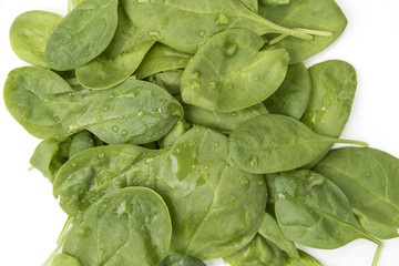 Healthy green spinach on the white background