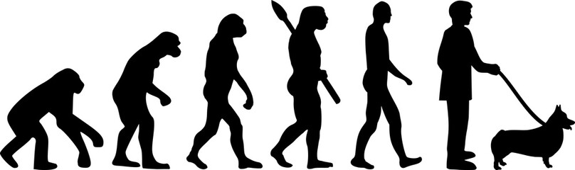 Welsh Corgi Pembroke evolution