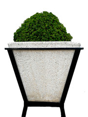 granite pot with green bush
