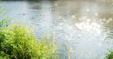 baden in der natur