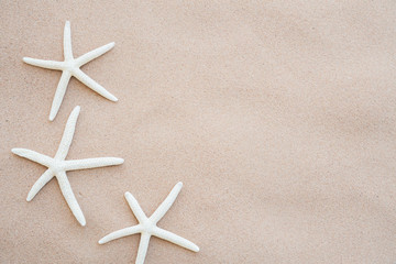 Fototapeta na wymiar starfish on Sandy beach background background for summer holiday and vacation concept.