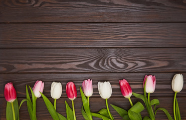 Tulips on a brown wooden background. Celebrstion and greeting concept. Space for text