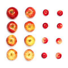 many different red apples fruits in a row isolated on a white background