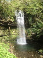 Glencar Waterfall, Co. Sligo