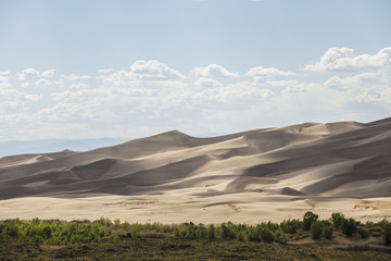 Fototapeta na wymiar Giant Desert Dunes
