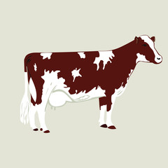 Cow brown  on a white background.