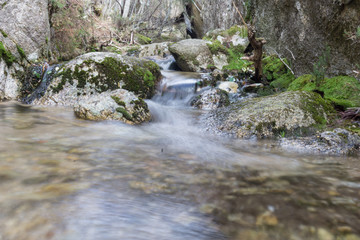 Flowing spring water over the moss