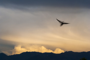 Cumulonimbus in dramatic sunset and mountain silhouette in central america, Guatemala.