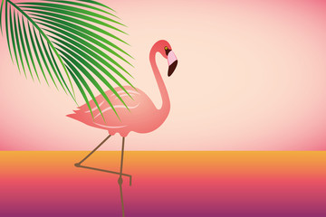 rosa flamingo am rosa strand