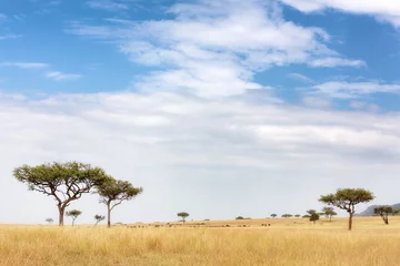 Zelfklevend Fotobehang Masai Mara landscape © Rixie