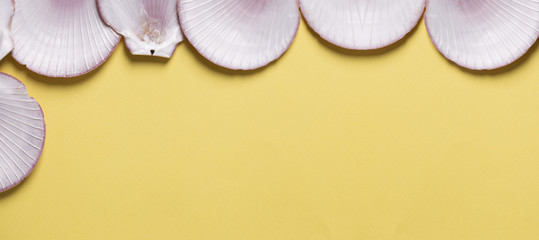 Seashells on a  yellow background.Vacation travel summer weekend sea adventure trip concept.