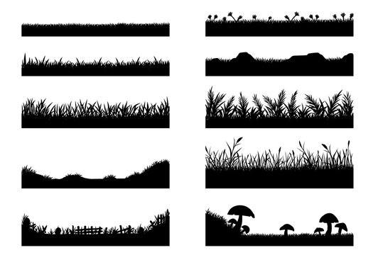 Set of grass vector on white background.Grass vector by hand drawing.