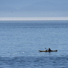 Naklejka premium Person kayaking in the ocean, Victoria, Vancouver Island, British Columbia, Canada